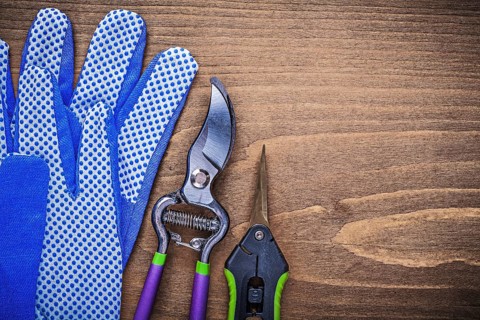 Pair of protective gloves metal garden shears pruner gardening concept