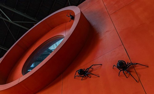 A picture of an art installation with black spiders on display at the NDSM art center