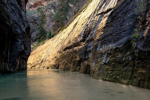 Narrows riverside walk Zion National Park