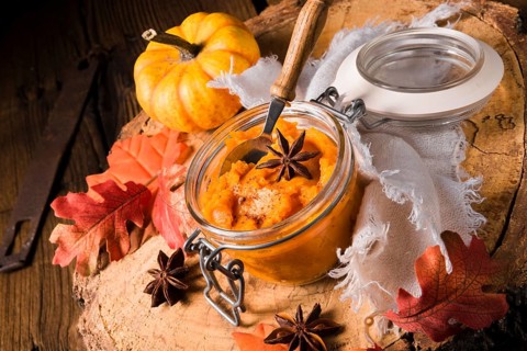 A delicious autumnal creamy pure Hokkaido pumpkin