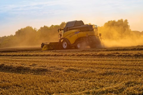 Big combine harvester threshing in the sunset