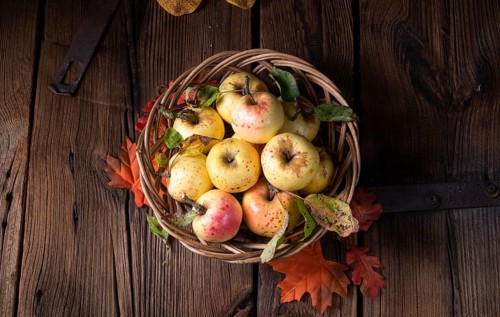 Fresh and delicious organic apples in a basket