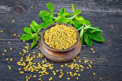 Fenugreek seeds in a bowl and on a table with green leaves against a black wooden board