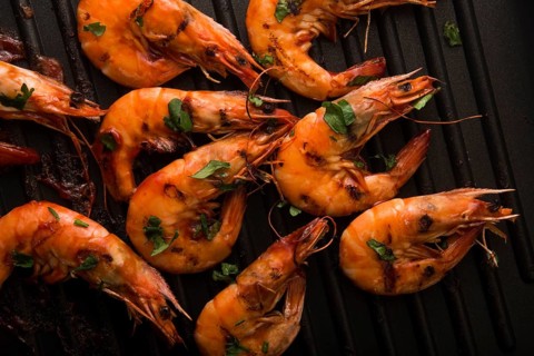 Grilled shrimps with tomato sauce