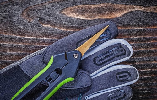 Working safety gloves clippers close up view gardening concept