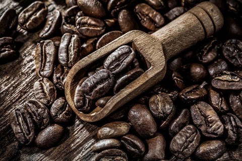 Fresh coffee crops in scoop on wooden board