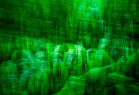 Abstract maize plants, wiping effect, looks like soldiers