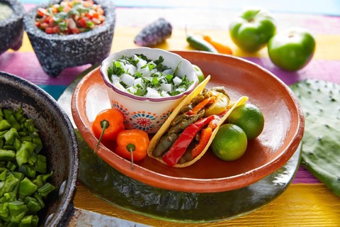 Nopal taco mexican food with chili pepper and ingredients on colorful table