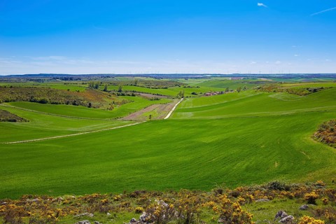The way of Saint James from Atapuerca cross to Burgos in Castilla
