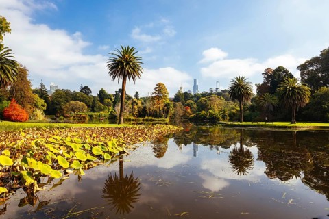 Royal Botanic Gardens Victoria on a cool autumn morning in Melbourne, Victoria, Australia, Oceania