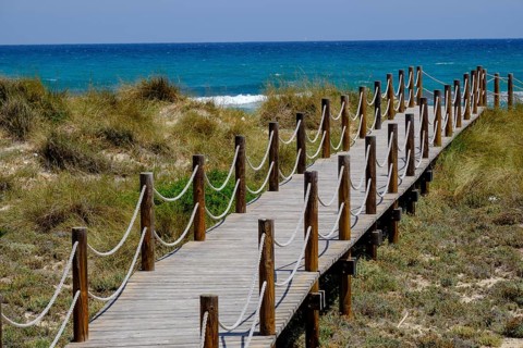 Pasarelas de madera sobre las dunas, Son Serra de Marina, Mallorca, balearic islands, Spain, Europe