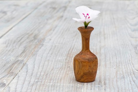 Small wooden vase with white flower. Bulgaria, Plovdiv