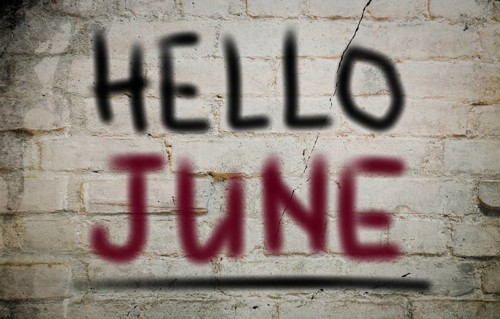 Months Of The Year Concept