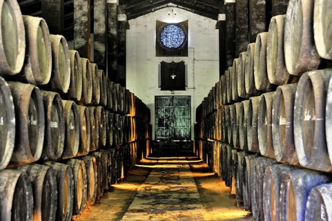 Bodega Pedro Romero, Sanlucar de Barrameda, Cadiz province, rows of wooden barrels in a rustic