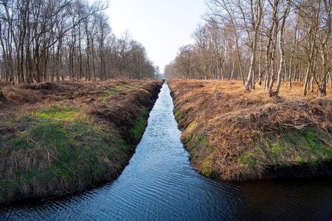 Drainage ditch in a moor, environmental damage, Lower Saxony, Germany, Europe
