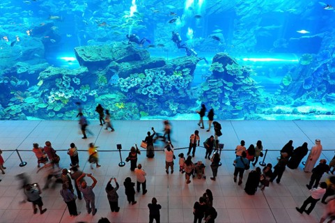 Dubai Aquarium in the Dubai Mall shopping centre, Downtown, Dubai, United Arab Emirates, Asia