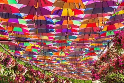 UAE, DUBAI - DECEMBER 30: multicolor umbrellas roof in Dubai miracle garden on December 30, 2014