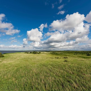 Slowinski landscape