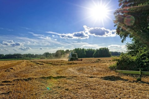 Tractors and harvesting