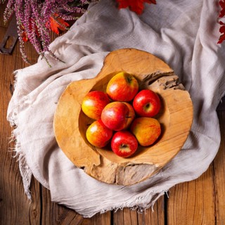 Malus sylvestris, der leckere europäische Krabbenapfel
