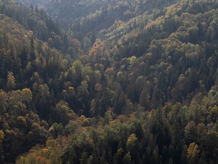 View over the Höllental nature reserve in the Franconian Forest in autumn