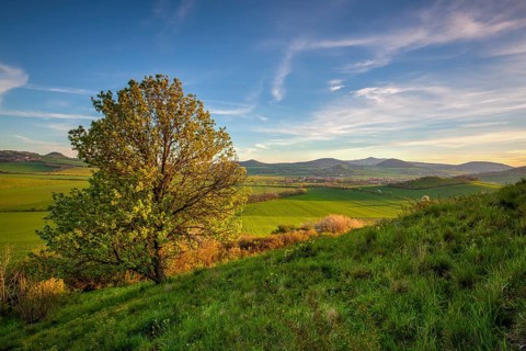 Spring morning in Central Bohemian Highlands.It is a mountain range located in northern Bohemia in