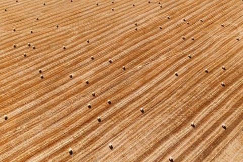 Aerial perspective view of hay bales on agricultural field after harvest. Farm landscape. Drone top