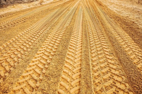 View traks on sand