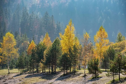 Scenic autumn forest at Crystal Lake in the Julian Alps, Slovenia, Europe