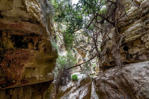 Avagas Gorge in the western part of Cyprus
