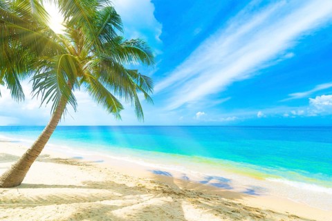 A beautiful beach on a tropical island