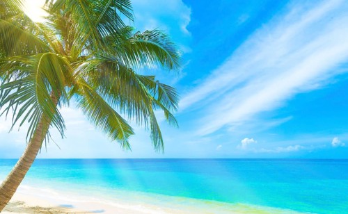 A beautiful beach on a tropical island