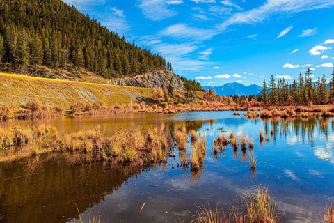 Evergreen forests in the mountains of Canada. Red, yellow and orange foliage on the shores of the
