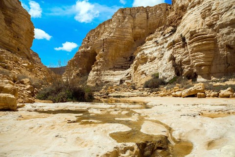 Beginning of a route. The concept of photo tourism. The magnificent gorge Ein Avdat is the most