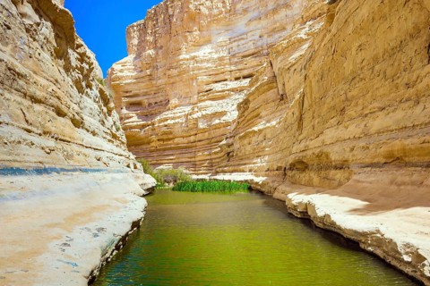 The canyon Ein Avdat is formed by the Qing River in the Negev desert. The greenish mirror water of