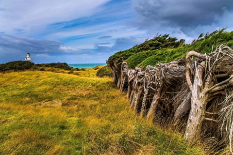 Great trip to New Zealand. Scenic South Island on a cloudy windy day. Frequent hurricane wind from