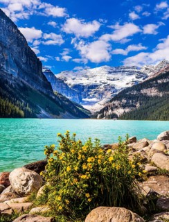 Glacial Lake Louise. Sunny fine day. Travel to the Rocky Mountains of Canada. The lake with azure