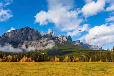 The city of Canmore is surrounded by the Rocky Mountains. Huge Andean condors flock flies over the