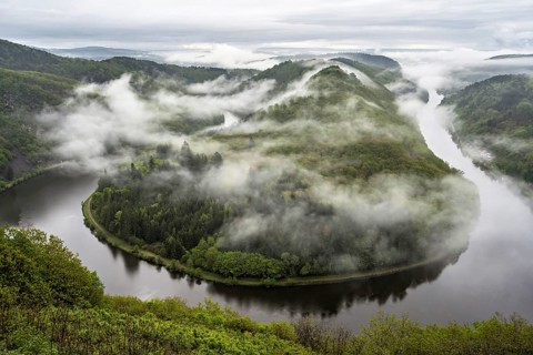 The Saarschleife in Mettlach is covered in fog in the morning in spring, Germany, Europe