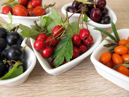 Wild fruits in autumn with cornelian cherries, sea buckthorn, rose hips, sloes and hawthorn