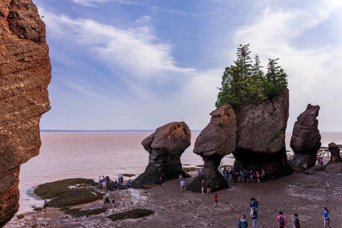 The distinctive sea staks and rock formations best known as Flowerpot Rocks in Hopwell Rocks