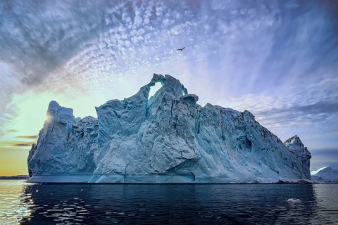 Large glaciers in the bay by the rocky shore in the light of the setting sun