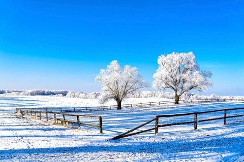 Snow-covered landscape in winter in Masuria in eastern Poland
