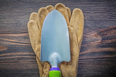 Hand spade protective gloves on wooden board agriculture concept
