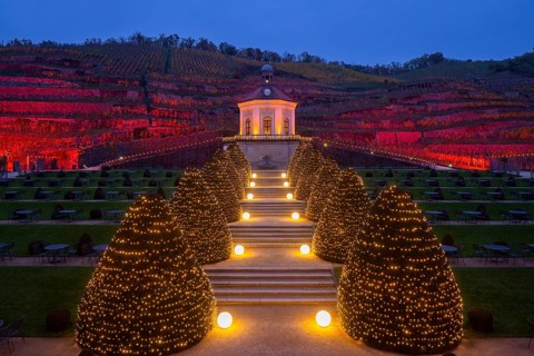 Adventure winery to shine in special splendour from next week Radebeul, 1 November 2024 From 8