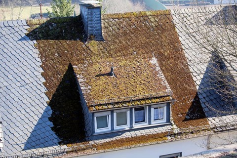 New slate roof without moss and old roof with moss, North Rhine-Westphalia, Germany, Europe, neues