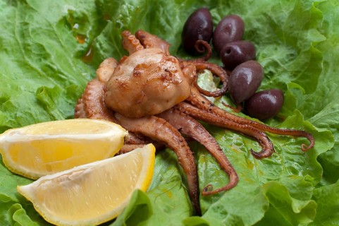 Portion octopus on green lettuce