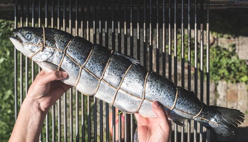 Raw salmon fish on grill. Outdoor cooking