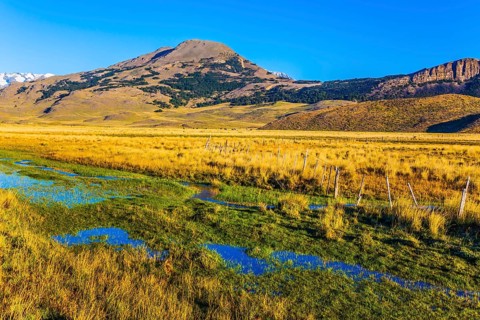 The green grass field is impregnated with streams from underground sources. The concept of exotic