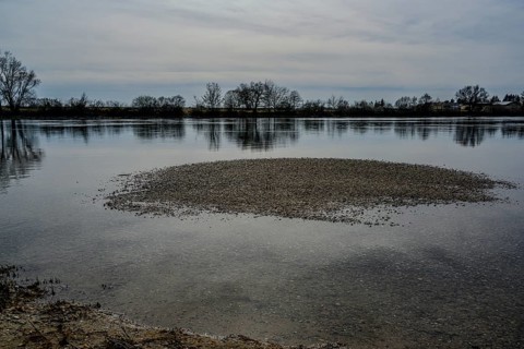 Small sandbank in a calm river with trees and cloudy sky, Danube, Bogen, Lower Bavaria